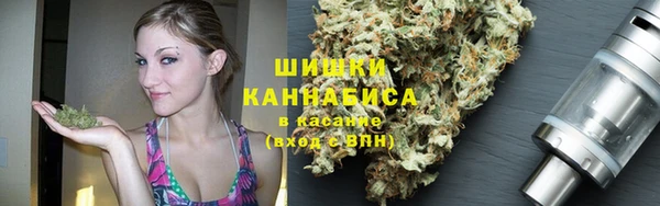 PSILOCYBIN Баксан