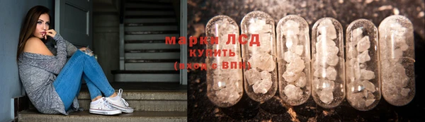 PSILOCYBIN Баксан