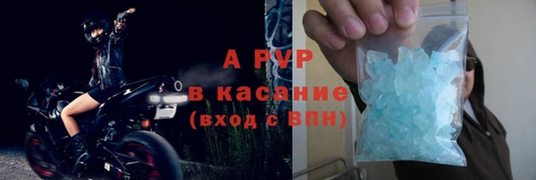 PSILOCYBIN Баксан