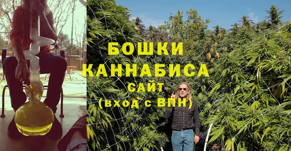 PSILOCYBIN Баксан