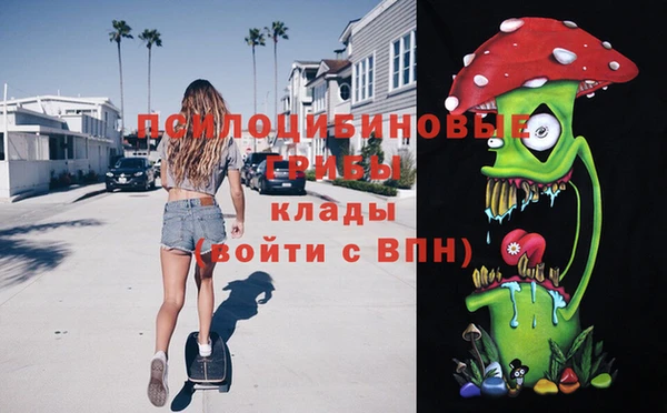 PSILOCYBIN Баксан