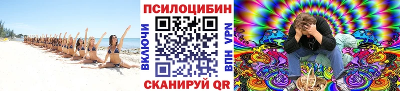 продажа наркотиков  Пласт  Псилоцибиновые грибы прущие грибы 